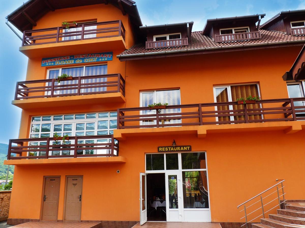 Floare De Colt Petrosani Hotel Buitenkant foto