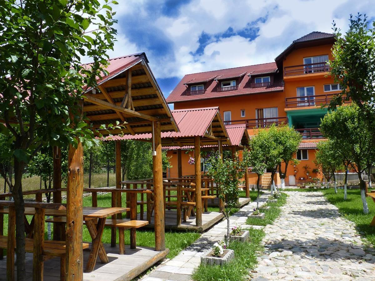 Floare De Colt Petrosani Hotel Buitenkant foto