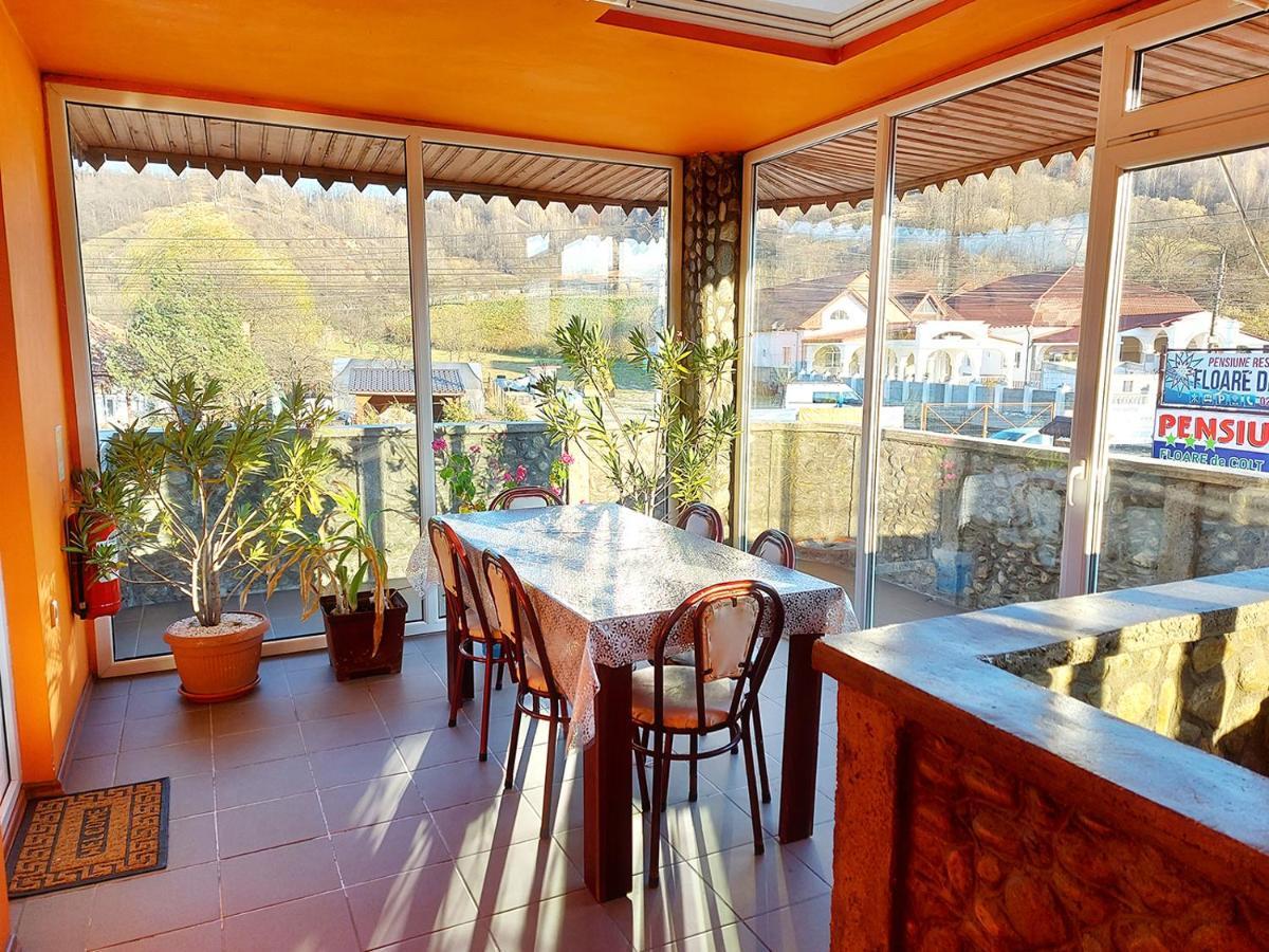 Floare De Colt Petrosani Hotel Buitenkant foto