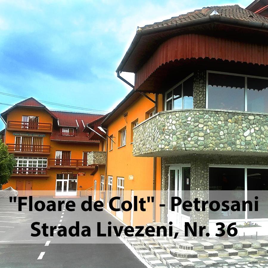 Floare De Colt Petrosani Hotel Buitenkant foto