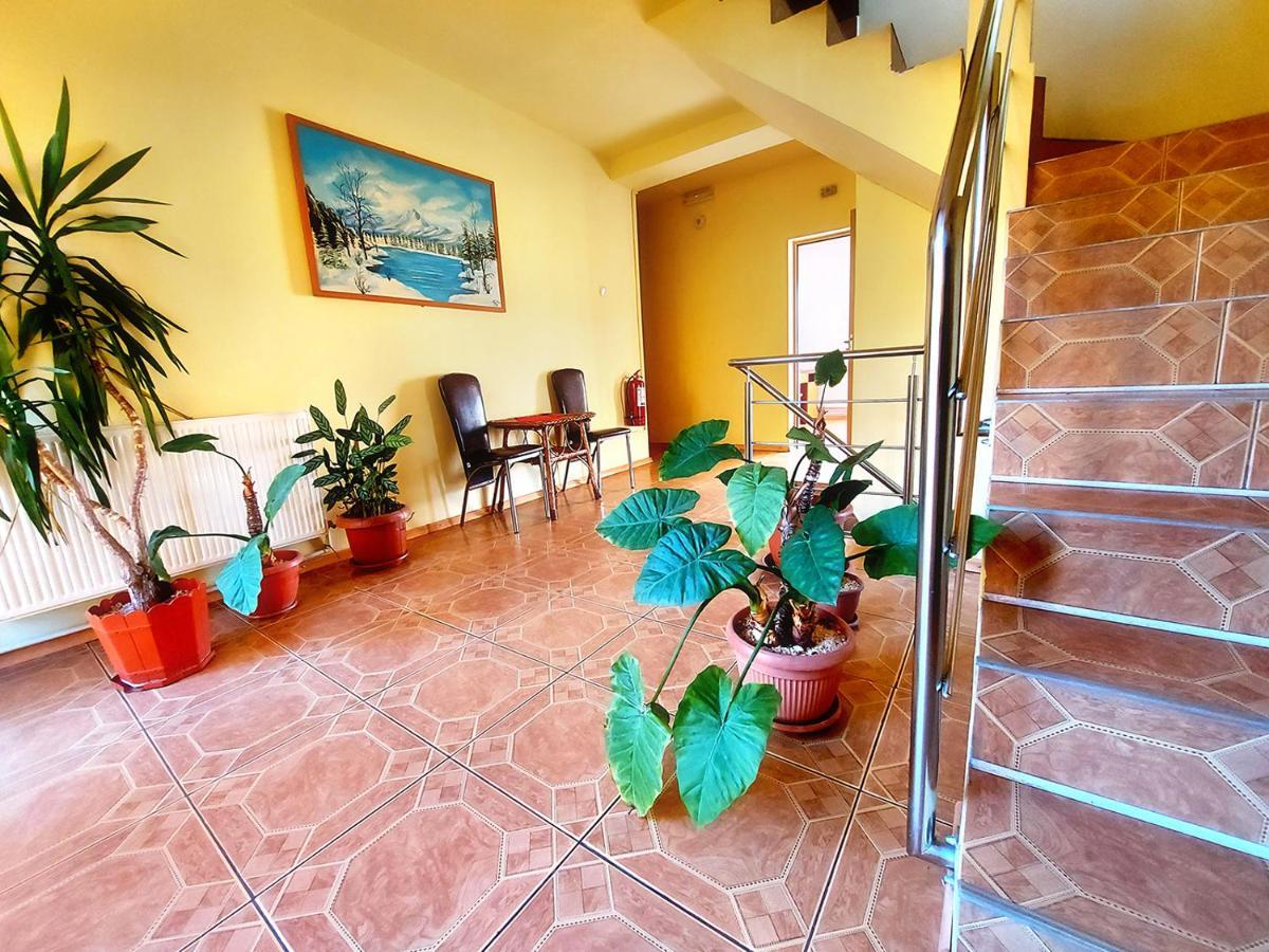 Floare De Colt Petrosani Hotel Buitenkant foto